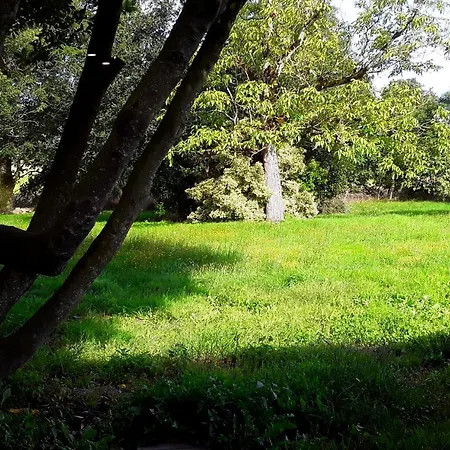 Domaine De La Tranquillite V Villa Noyal-Muzillac Buitenkant foto